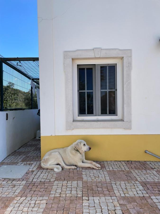 Bed and Breakfast Entrecolinas Paderne  Esterno foto