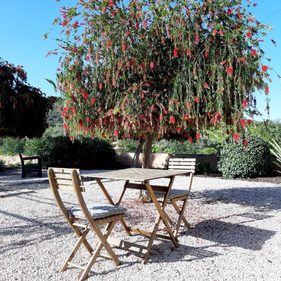 Bed and Breakfast Entrecolinas Paderne  Esterno foto